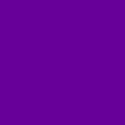 Purple signifies awareness of Pancreatic Cancer, Alzheimer’s, Cystic Fibrosis, Crohn’s Disease, Domestic Violence, Lupus, Fibromyalgia and ADD/ADHD awareness.