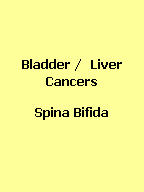 Click here to find yellow handcrafted awareness jewelry for Bladder and Liver Cancers and Spina Bifida.