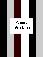 Click here to find black, gray, white and brown handcrafted awareness jewelry for Animal Welfare.